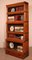 Large Globe Wernicke Oak Bookcase 5