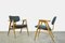 Mid-Century Birch Ft14 Armchairs by Cees Braakman for Pastoe, 1950s, Set of 2 8