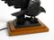 Very Large Iron in the Shape of an Eagle with a Teak Wooden Base Table Lamp, 1940s, Image 8