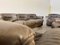 3-Seater Sofa Ds14 from de Sede, Image 5