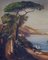Nápoles, Escuela Posillipo, paisaje italiano, óleo sobre lienzo, enmarcado, Imagen 5