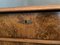 Vintage Chest of Drawers in Fir, Image 11