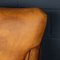 Club chair in pelle di pecora, Paesi Bassi, set di 2, Immagine 27