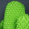 Appendiabiti Cactus di Guido Drocco e Franco Mello per Gufram, Italia, Immagine 18