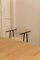 Object 058 Chairs by Ng Design, Set of 4, Image 11