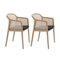 Little Anthracite Beech Wood Vienna Armchairs by Colé Italia, Set of 2 2