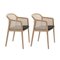 Little Anthracite Beech Wood Vienna Armchairs by Colé Italia, Set of 2, Image 2