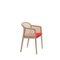 Little Red Contour Beech Wood Vienna Armchairs by Colé Italia, Set of 4 4