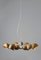 Lámpara de araña Bio Clous blanca de Margherita Sala, Imagen 2