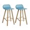 Leather Azul Low Back Tria Stool by Colé Italia, Set of 2 3
