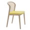 Ocre Beech Wood Vienna Chair by Colé Italia, Image 5