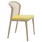 Ocre Beech Wood Vienna Chair by Colé Italia, Image 1