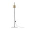 Lab Light Table and Floor Lamps by Anatomy Design, Set of 3, Image 10
