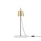Lab Light Table and Floor Lamps by Anatomy Design, Set of 3 8