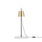 Lab Light Table and Floor Lamps by Anatomy Design, Set of 3, Image 8