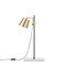 Lab Light Table and Floor Lamps by Anatomy Design, Set of 3 3