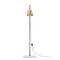 Lab Light Table and Floor Lamps by Anatomy Design, Set of 3 9
