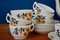 Porcelain Tea Service from CM Limoges, Set of 14, Image 3