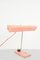 Table Lamp in Pink, 1950s 1