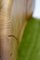 Sillas de comedor de pino de Oregón. Juego de 6, Imagen 10