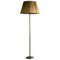 Giso Floor Lamp from W. H. Gispen 1