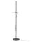 Minimalist Aton Floor Lamp by Ernesto Gismondi 1