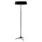 Mid-Century Dutch Floor Lamp by Hiemstra Evolux, Image 1