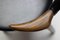 Dutch Cow Horn Chairs, Set of 6, Image 3