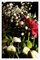 Summer Flowers Bouquet auf schwarzem Hintergrund, 2022, Giclée Druck 1