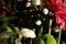 Summer Flowers Bouquet auf schwarzem Hintergrund, 2022, Giclée Druck 4