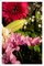 Bouquet di fiori vivaci, 2022, stampa giclée, Immagine 1