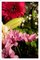 Vivid Flower Bouquet, 2022, Giclée Print, Image 1