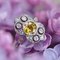 Art Deco Yellow Sapphire Diamonds Platinum Ring, 1925 4