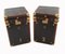 Luggage Trunks in Faux Crocodile, Set of 2 1