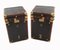 Luggage Trunks in Faux Crocodile, Set of 2, Image 1