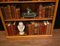 Regency Sheraton Satinwood Open Bookcase 22