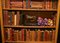 Regency Sheraton Satinwood Open Bookcase 16