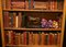 Regency Sheraton Satinwood Open Bookcase, Image 16