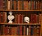 Regency Sheraton Satinwood Open Bookcases, Set of 2, Image 18