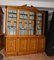 Breakfront Bookcase in Satinwood - Regency Sheraton Painted Bookcases 17