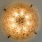 Large Murano Glass Wall Light from Hillebrand, 1960s 12