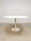 Mid-Century Tulip Dining Table & Chairs Maurice Burke for Arkana, Set of 6 4