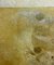 Giacomo Soffiantino, Fossils and Shells, años 60, óleo sobre lienzo, Imagen 8