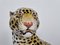 Italienische Leopard Figur aus glasierter Terrakotta, 1960er 8