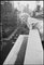 Ed Feingersh/Michael Ochs Archives, Marilyn on the Roof, 1955, Photographic Paper 1