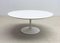 Mid-Century White Metal Tulip Feet Coffee Table by Knoll 7