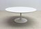 Mid-Century White Metal Tulip Feet Coffee Table by Knoll, Image 7