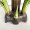 Mid-Century Italian Modern Wooden Sculpture of a Banana Plant, 1950s 15