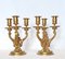 Louis XVI Style Gilded Bronze Candlesticks, Set of 2 10