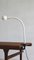 Hebi Snake Flexible Lamp by Isao Hosoe by Valenti Luce, Image 1